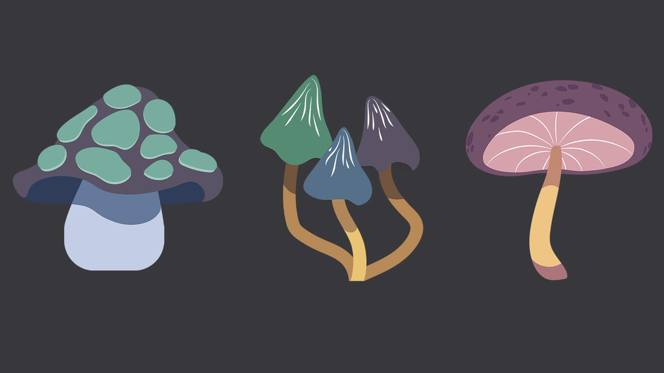 ringreinercryptidskullcryptidskullillustrationgraphicdesignIllustratorartflatdesignmushrooms